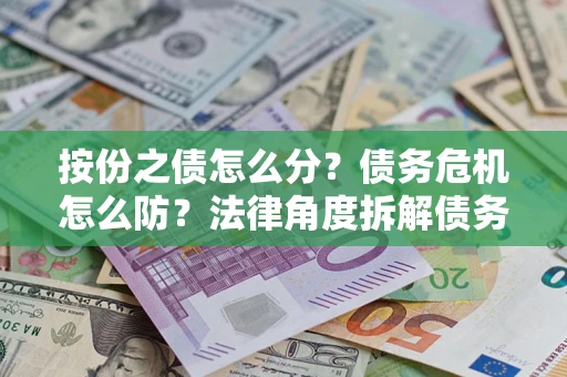 武汉按份之债怎么分？债务危机怎么防？法律角度拆解债务分配与风险自保指南