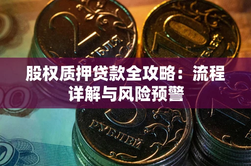 武汉股权质押贷款全攻略：流程详解与风险预警