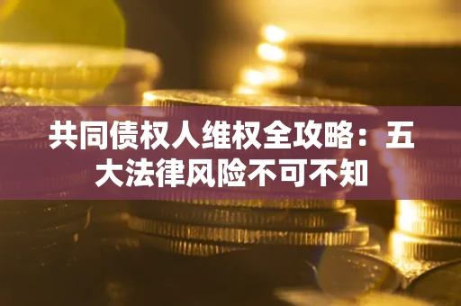 武汉共同债权人维权全攻略：五大法律风险不可不知