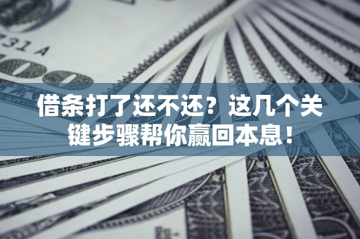 武汉借条打了还不还？这几个关键步骤帮你赢回本息！