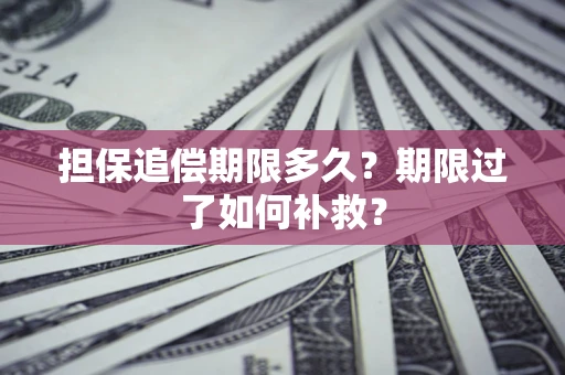 武汉担保追偿期限多久？期限过了如何补救？