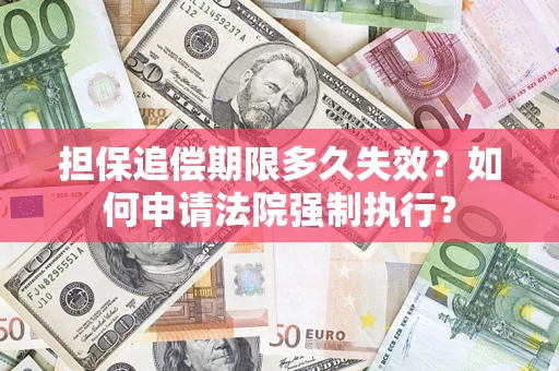 武汉担保追偿期限多久失效？如何申请法院强制执行？
