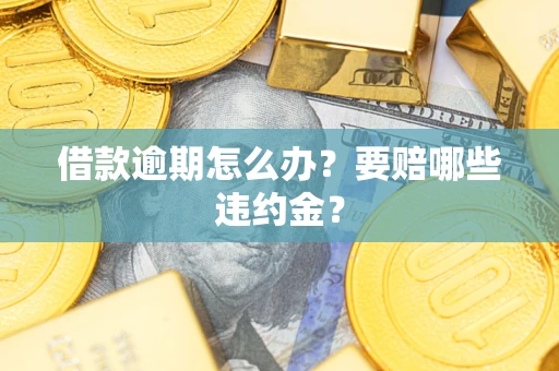 武汉借款逾期怎么办？要赔哪些违约金？
